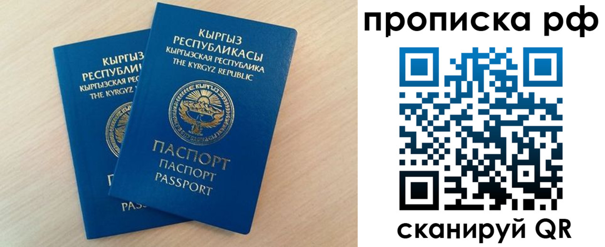 где прописаться в Курской области