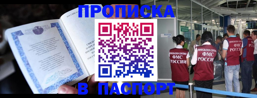 временная регистрация поиск в Курской области